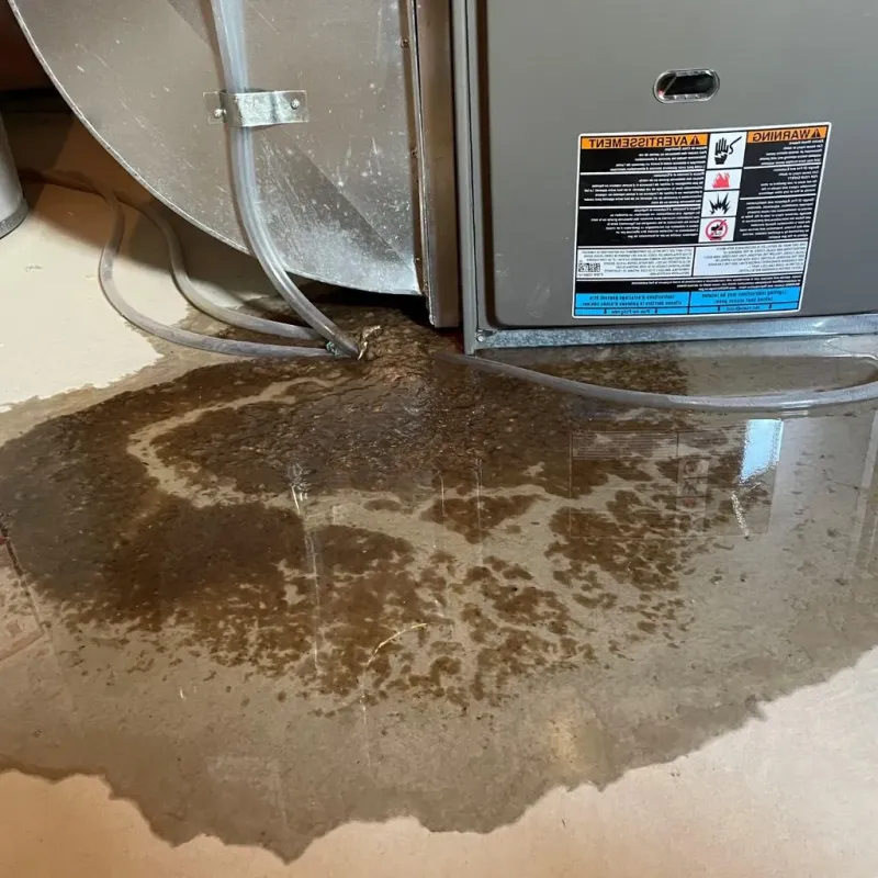 Pipe Burst and Leak Restoration in Mountain Lakes, NJ